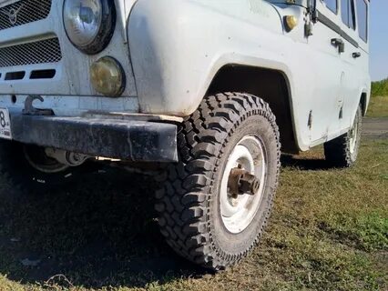 Сафари r15