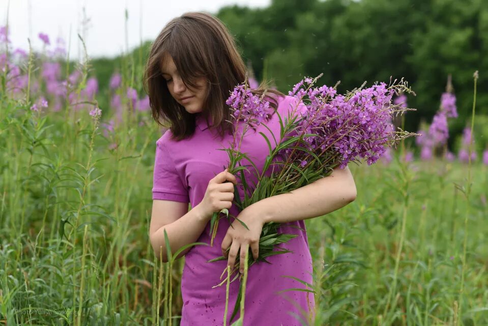 Песни чай трава. Песни чай трава. Tess camomile. Мята приправа. Песни чай трава.