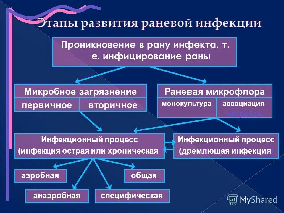 Патогенез клостридиальной инфекции. Патогенез первичного и вторичного инфицирования ран. Патогенез первичного и вторичного инфицирования ран. Патогенез первичного и вторичного инфицирования ран. Патогенез вторичного инфицирования ран.