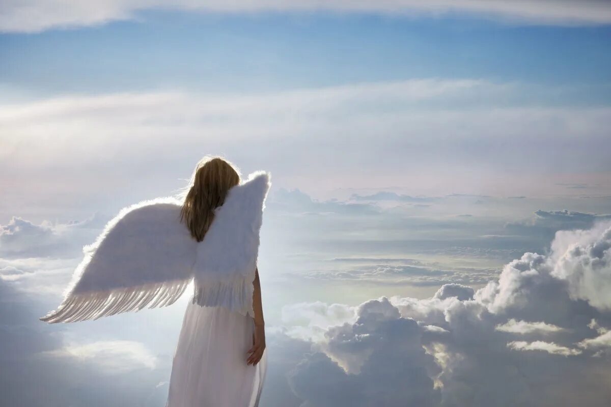 Ангелы радуются. Ангел картинки. Девушка - ангел. Девушка с крыльями в небе. Небесные ангелы.