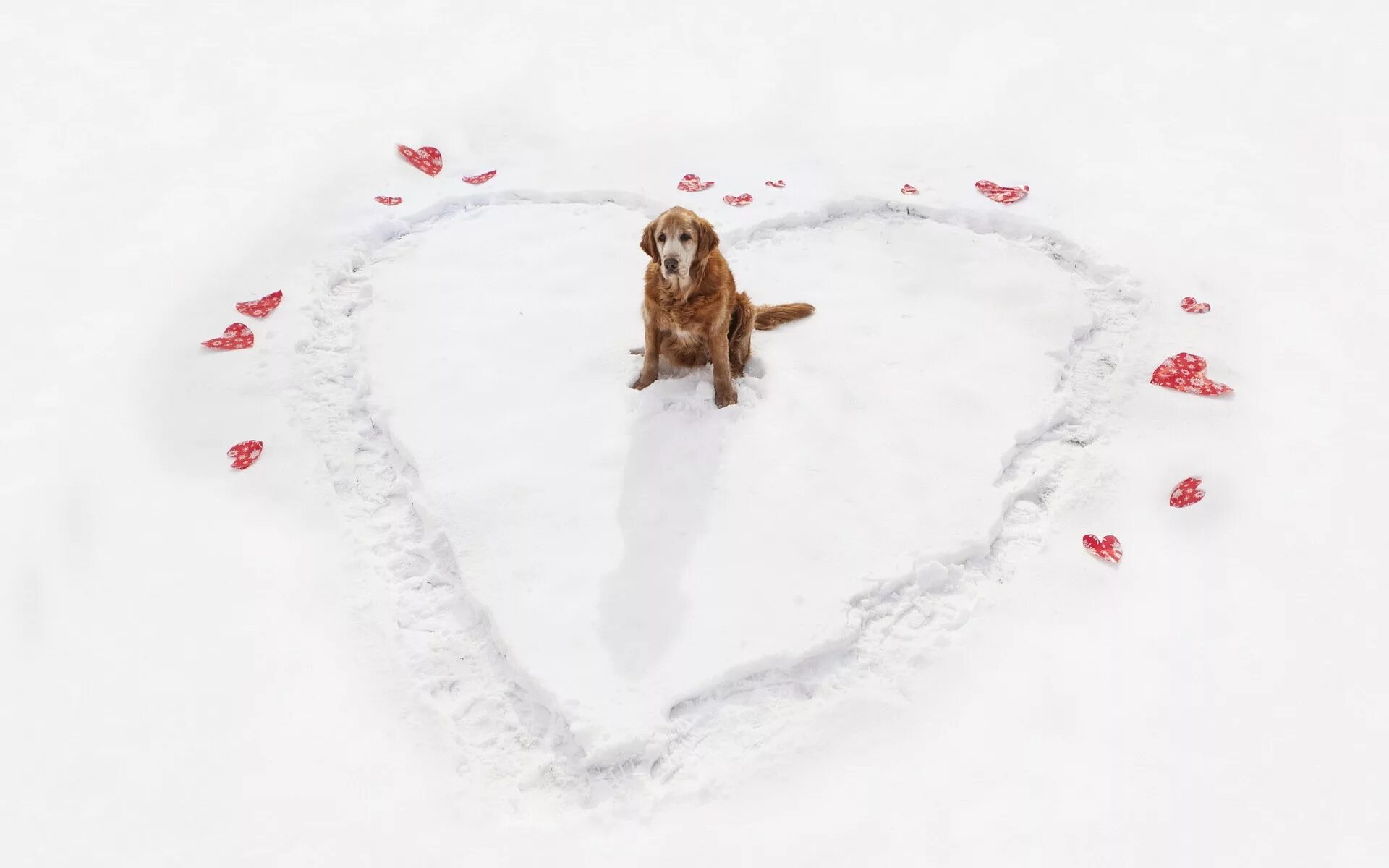 Зима на сердце на душе оригинал. Собака в снегу. Сердечко на снегу. Зима в сердце. Щенок и снег.