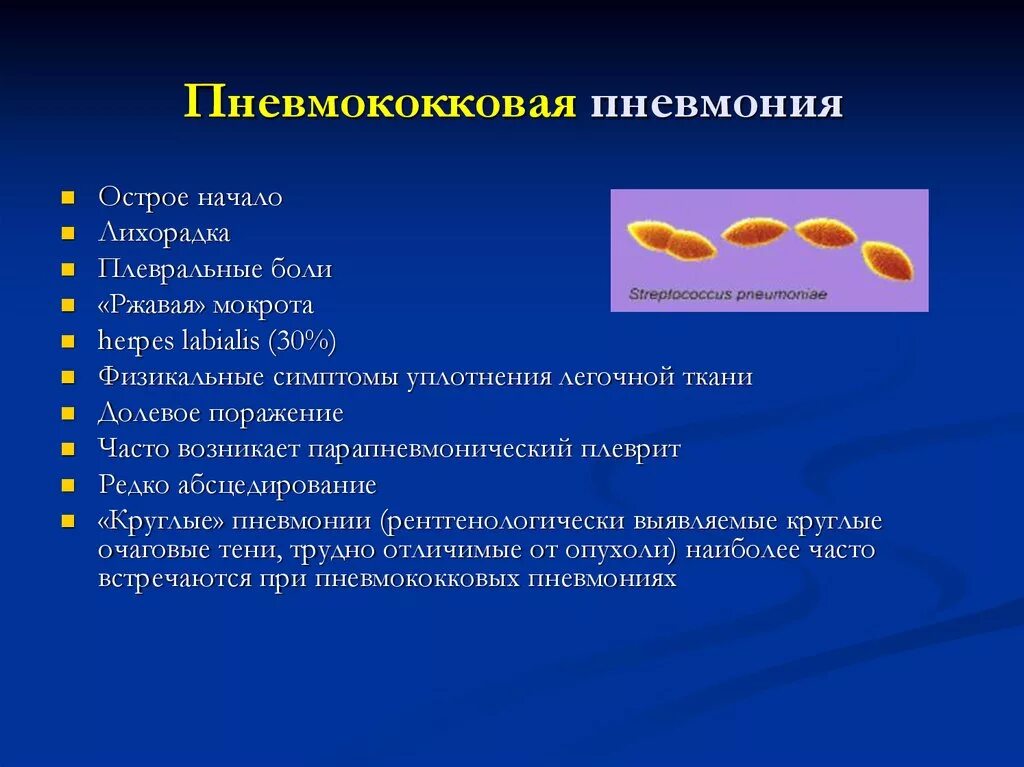 Какие возбудители вызывают пневмонию. Пневмококковая пневмония возбудитель. Клиническая картина пневмококковой пневмонии. Пневмококковая пневмония клиника. Симптом острой пневмококковой пневмонии.