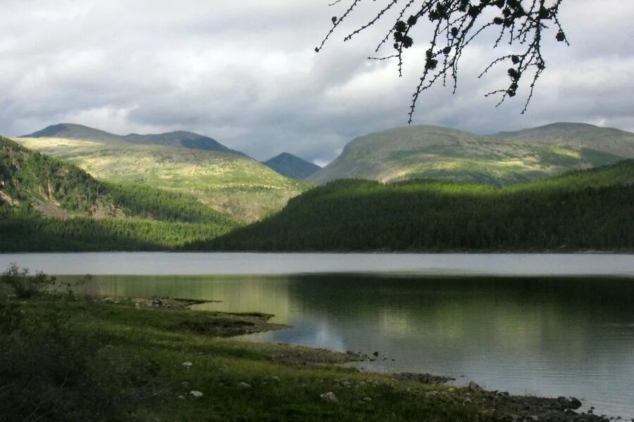 хара казахстан. хара казахстан. озеро толбо нуур монголия. маркаколь заповедник. монгол-алтайская степь.
