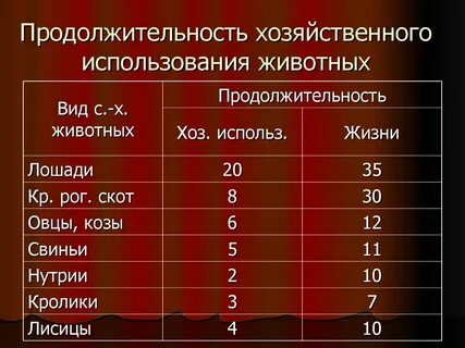 Сколько живут светы