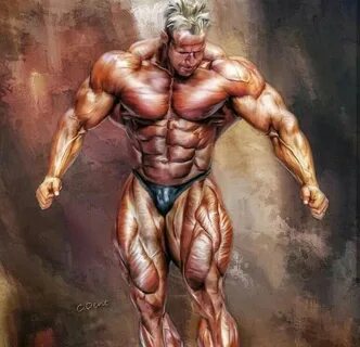 Jay cutler bodybuilder height