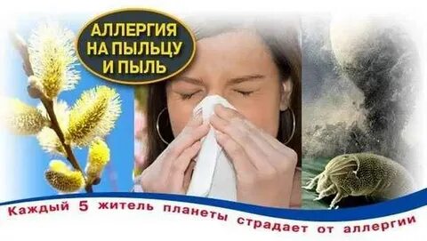 Аллергия народное лечение