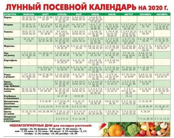 Лунный посевной календарь на апрель дачный участок. Лунный посевной календарь для посева рассады. Благоприятные дни для рассады. Благоприятные дни для пересадки. Благоприятный месяц для посадки.