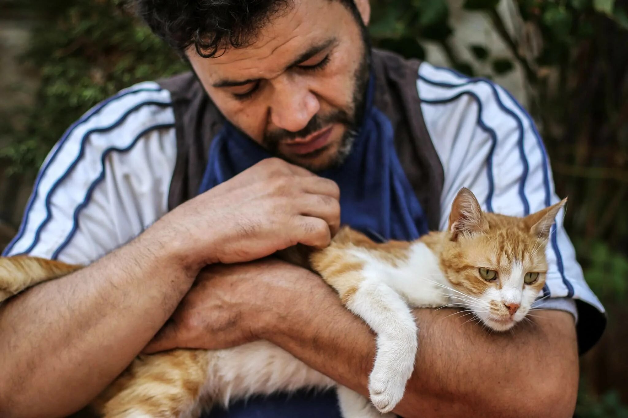 Профессии людей которые заботятся о животных. Мужчина гладит кошку. Коты и люди.