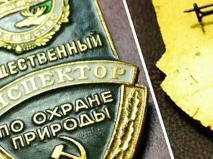 Государственная защита окружающей среды