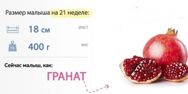 21 неделя отзывы. Размер малыша на 21 неделе. 21 Неделя размер плода. 21 Неделя беременности размер плода. Размер ребенка на 21 неделе беременности.