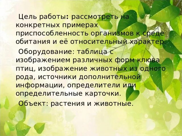 Изучение приспособленности организмов к определенной среде обитания. Лабораторная работа изучение приспособленности. Лабораторная работа приспособленность организмов к среде обитания. Приспособленность организмов к среде обитания 9 класс. Изучение приспособленности организмов к среде обитания еж.