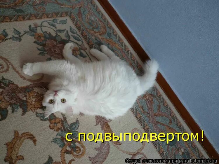 Слово изподвыподверта. Слово изподвыподверта. Изподвыподверта. Слово изподвыподверта. Слово изподвыподверта.
