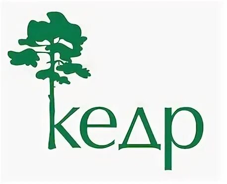 Кедр краснодар. Кедр краснодар. Кедр надпись. Кедр сибирский крупномер. Сосна крымская (pinus pallasiana d.