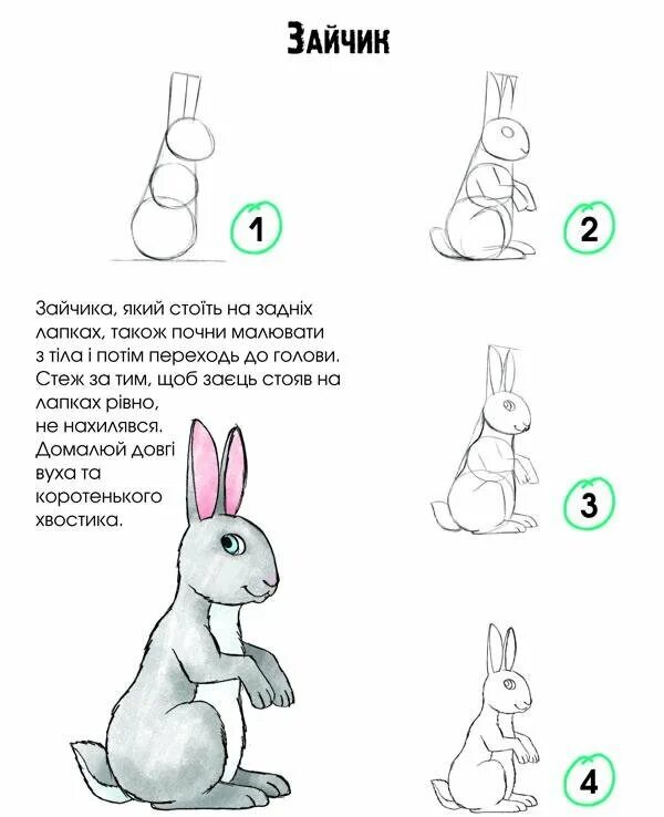 Как нарисовать зайца поэтапно для детей. Поэтапное рисование зайчика для детей. как нарисовать зайца поэтапно для детей 5. рисуем зайца поэтапно для детей 4-5 лет.