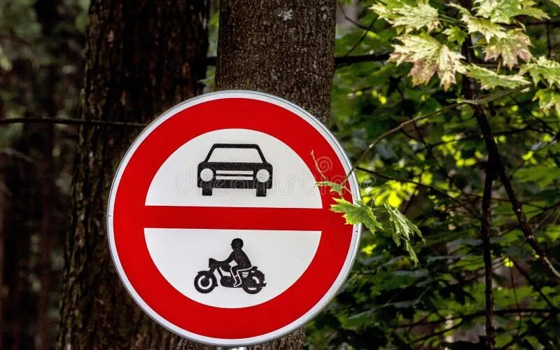 Хорошо в лесу какой знак. Запрет машин в лесу. Запрещающие знаки в заповеднике. Дорожные знаки на Лесной дороге. Запрет на вход в лес.