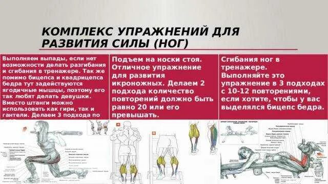 Упражнения для развития силы ног. Комплекс упражнений для развития мышц ног. Комплекс упражнений на силу мышц. Упражнение на силу мышц ног.. 20 упражнений на силу