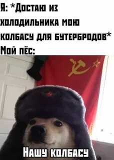 Ушанка мем