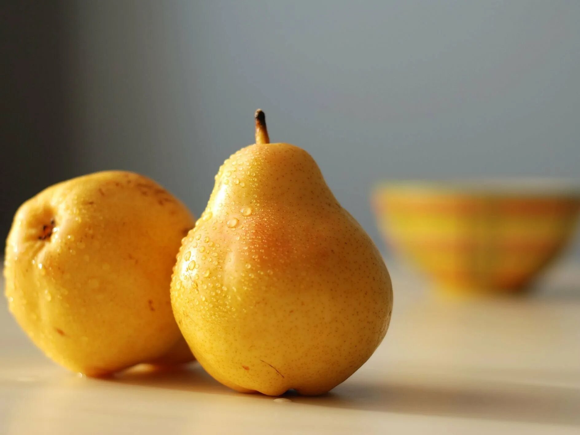 Груша бергамот. Груша сорт лукас. Груши анжу. Pear груша. Груша армут.