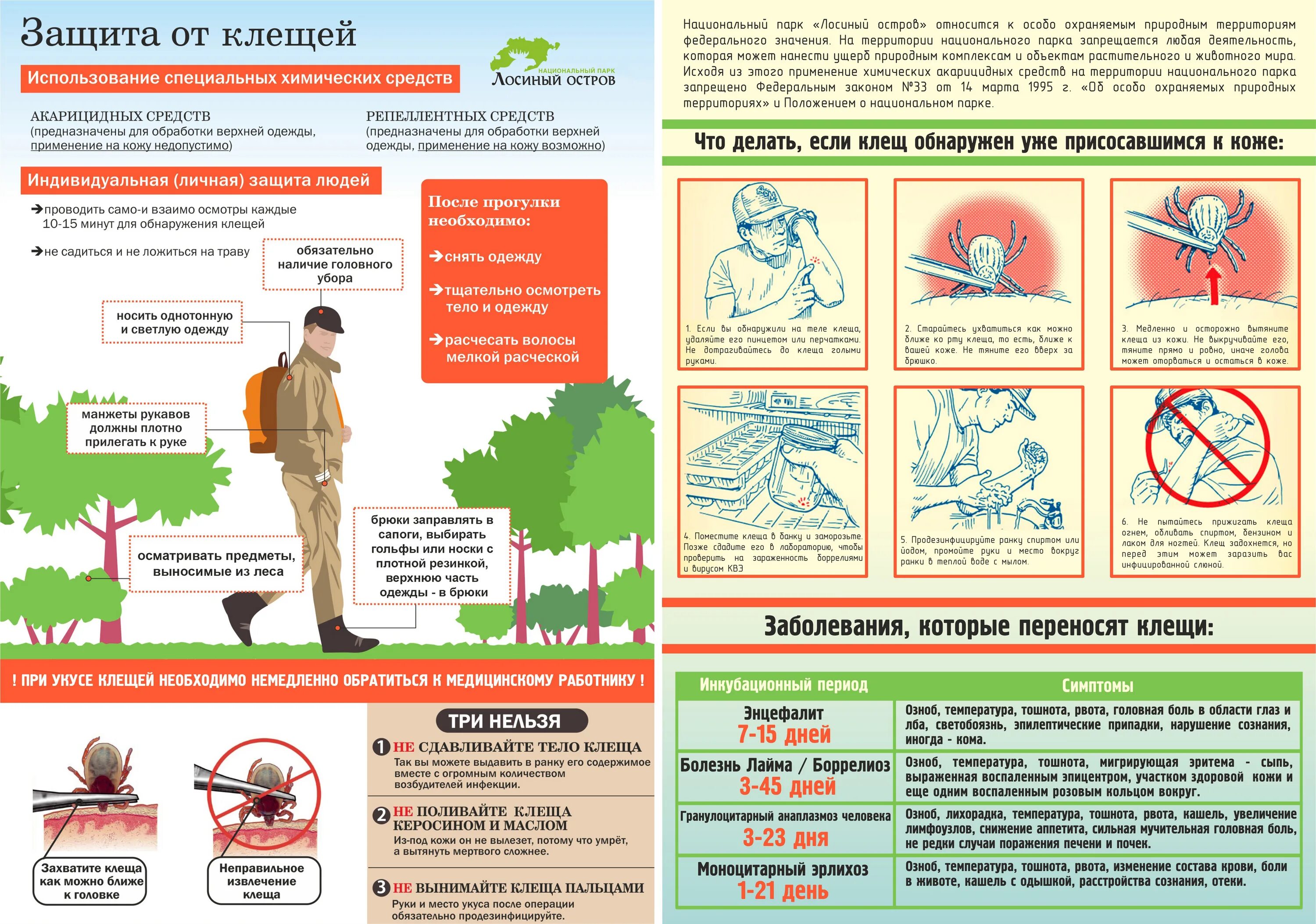 Защита от клещей. Профилактика от клещей. Памятка если вас укусил клещ. Клещи защита человека. Средства защиты от клещей для человека