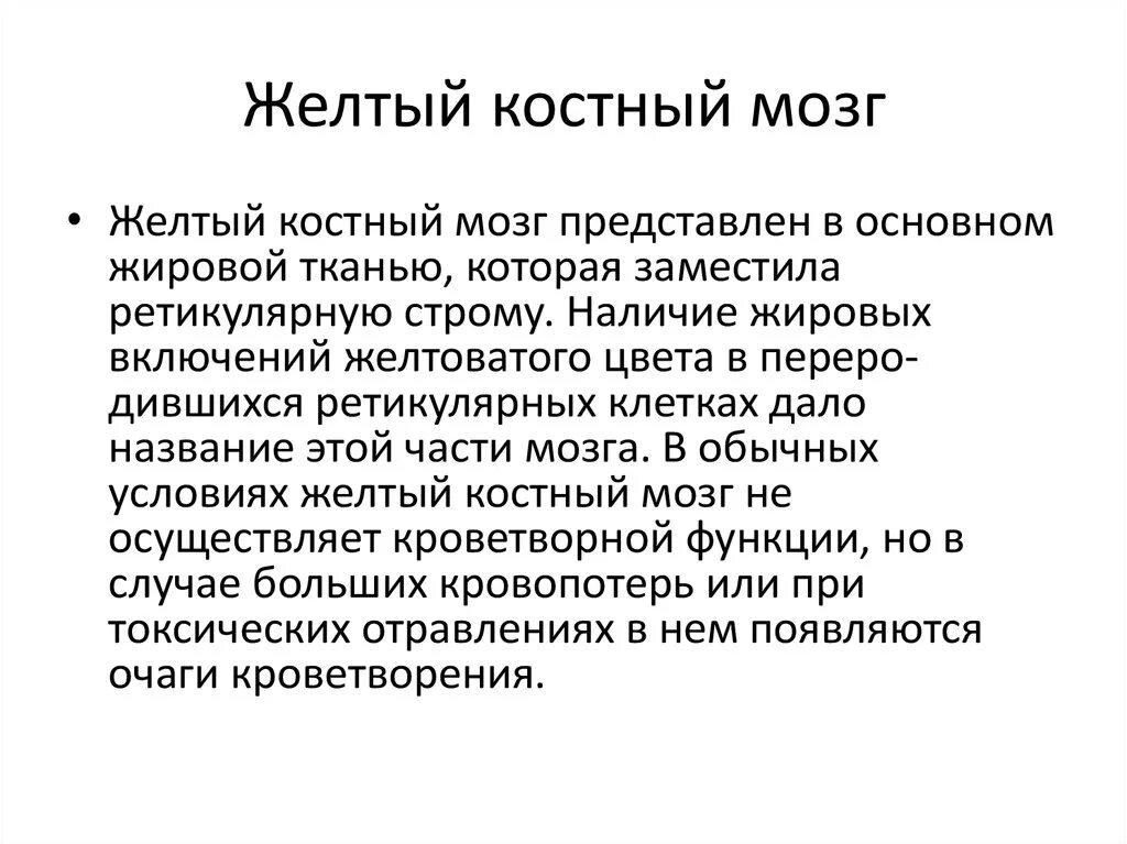 Функции мозга в костях. Желтый костный мозг функции. Функция желтого мозга костного желтого костного мозга. Желтый костный мозг функции кратко. Какие функции выполняет жёлтый костный мозг?.