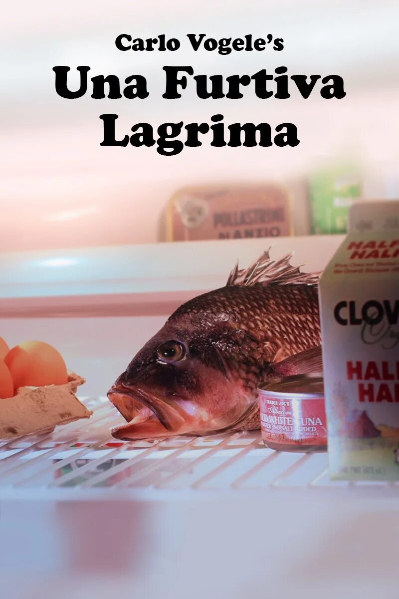 Андреа бочелли и лучано паваротти. Montagem hidróloga furtiva slowed. Una furtiva ноты. Montagem hidróloga furtiva slowed. Montagem hidróloga furtiva slowed.