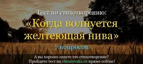 Анализ стихотворения желтеющая нива 7 класс