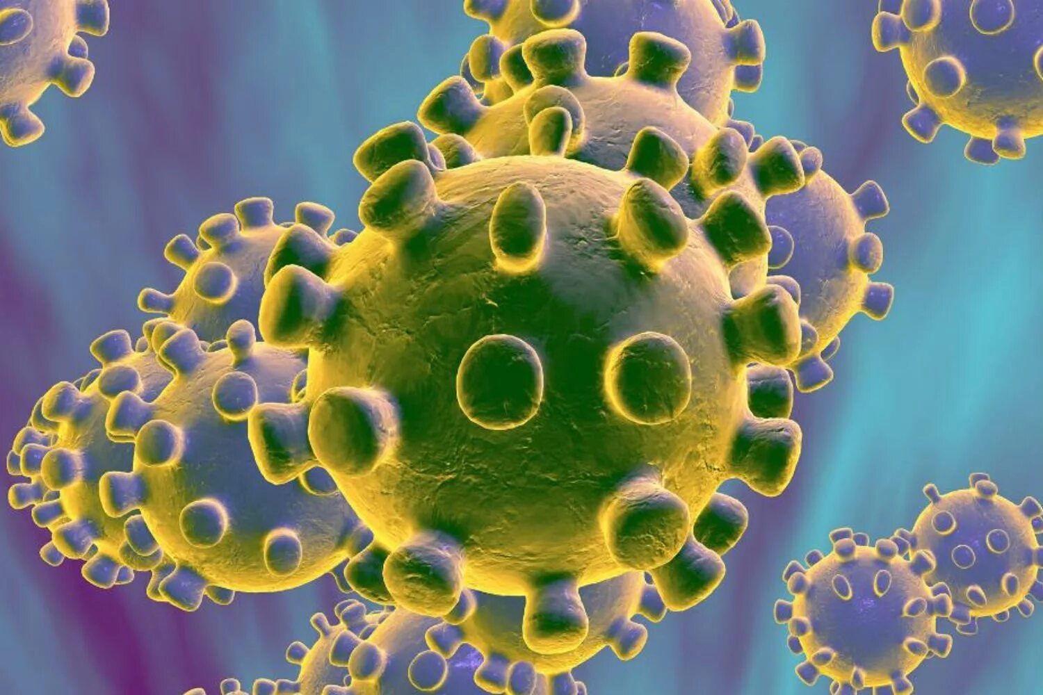 История коронавируса. Коронавирус. Молекула коронавируса. Coronaviridae вирусы. Заражение вирусами бактериями.