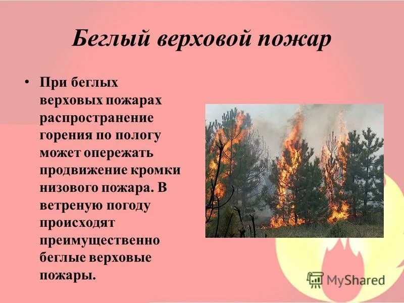 Где чаще всего возникают верховые пожары