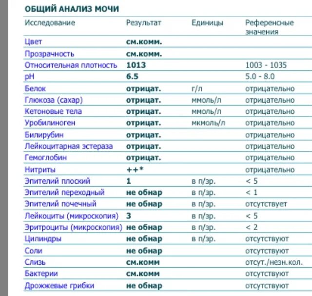 Нитриты норма. Нитриты в моче норма. ОАМ бактерии к6. Общий анализ мочи нормы нитриты. Анализ мочи бактерии норма.