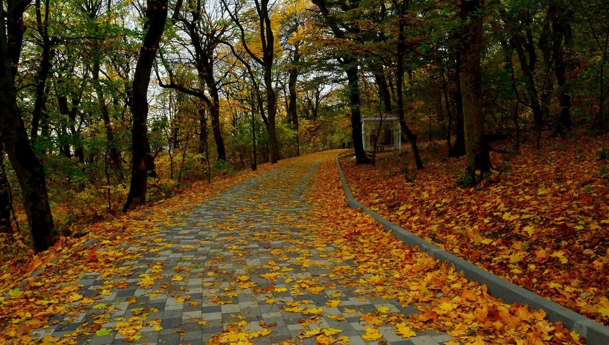 Железноводск парк Золотая осень. Терренкур Железноводск. Железноводск терренкур осень. Железноводск парк осенью. Железноводск октябрь