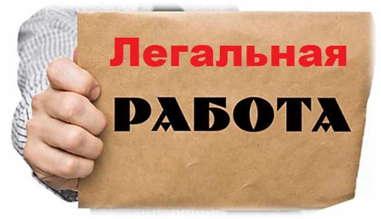 Абсолютно легальная. Популярные услуги в сша. Добропорядочные и не добропорядочные качества. Легально. Абсолютно легальная.