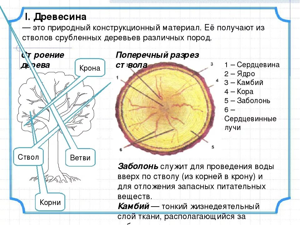 Виды и свойства конструкционных материалов древесина 5. Основные свойства конструкционных материалов. Виды и свойства конструкционных материалов древесина 5. Древесина как природный конструкционный материал. Виды и свойства конструкционных материалов древесина 5.