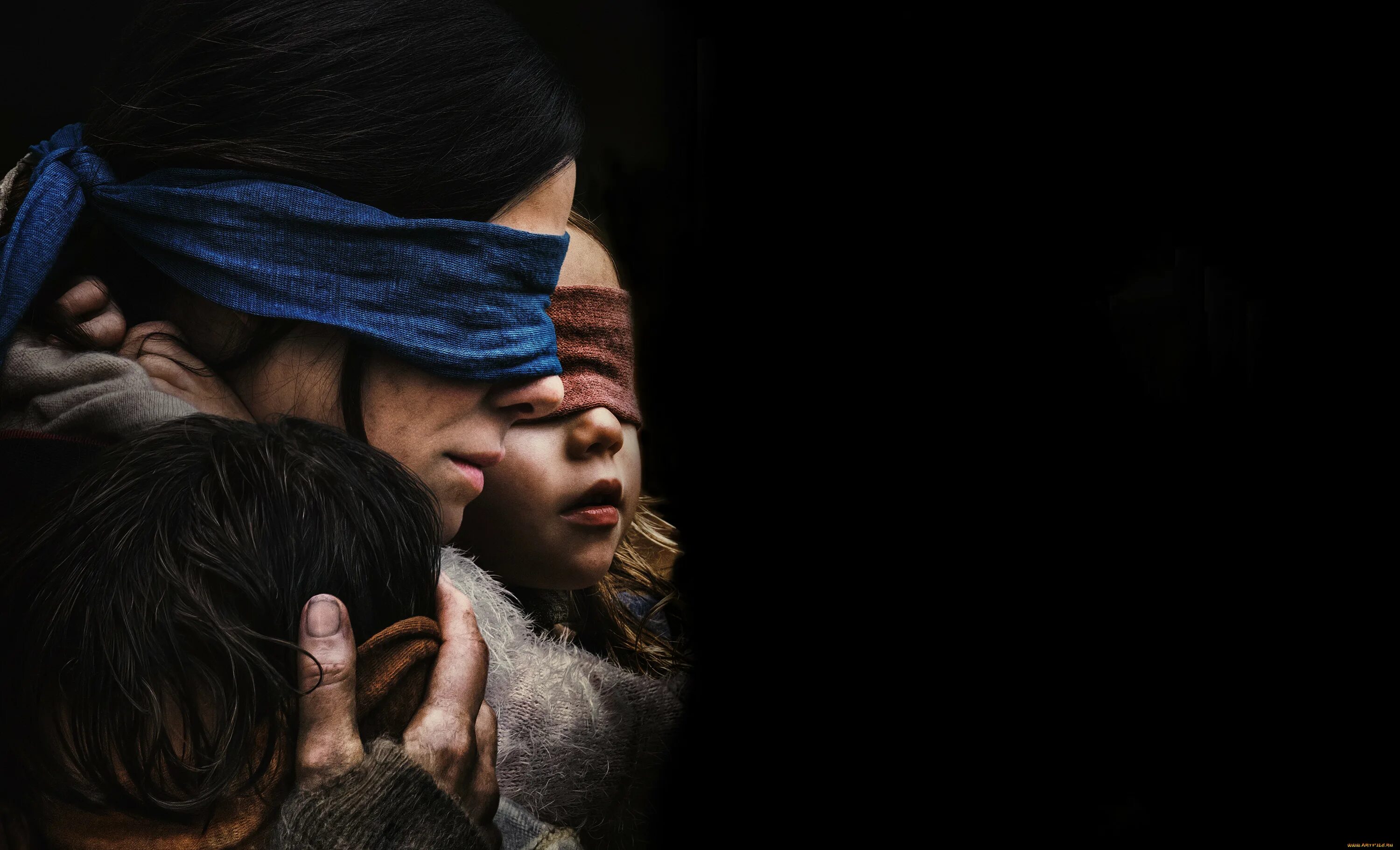 Птичий короб трейлер на русском. Птичий короб (2018). bird box фильм 2018. сандра буллок фильмы 2018 птичий короб. птичий короб фильм 2018 постер.