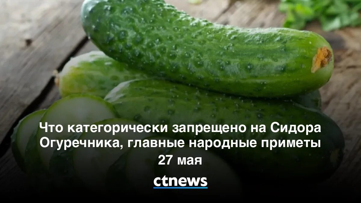 Приметы на 27 мая 2024 года. Огурец майский. сидор огуречник 27 мая. 27 мая приметы. огуречный день 27 мая.