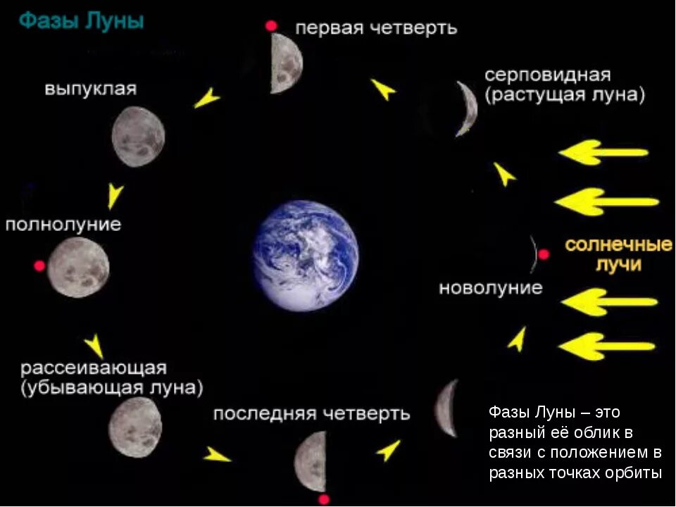 Светит ли луна. Фазы Луны. Ф̆̈ӑ̈з̆̈ы̆̈ Л̆̈ў̈н̆̈ы̆̈. Фазы Луны с названиями. Фазы Луны схема.