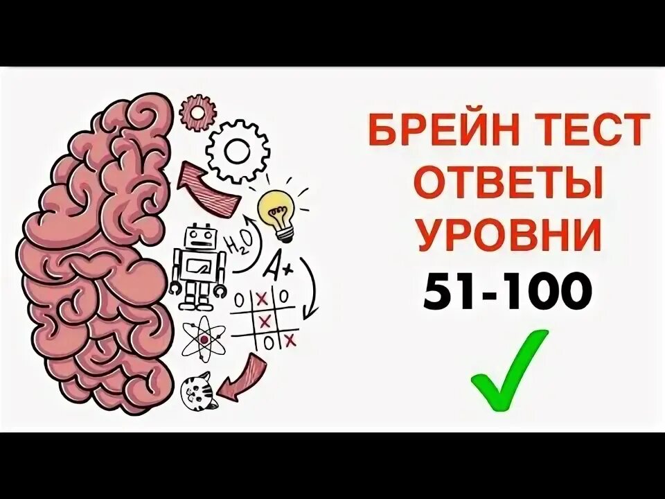 Brain test 176