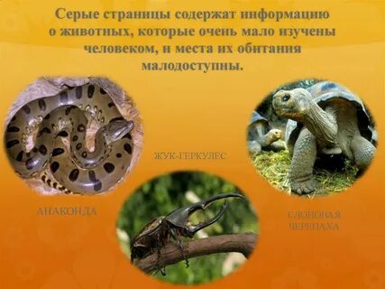 Мало изучены