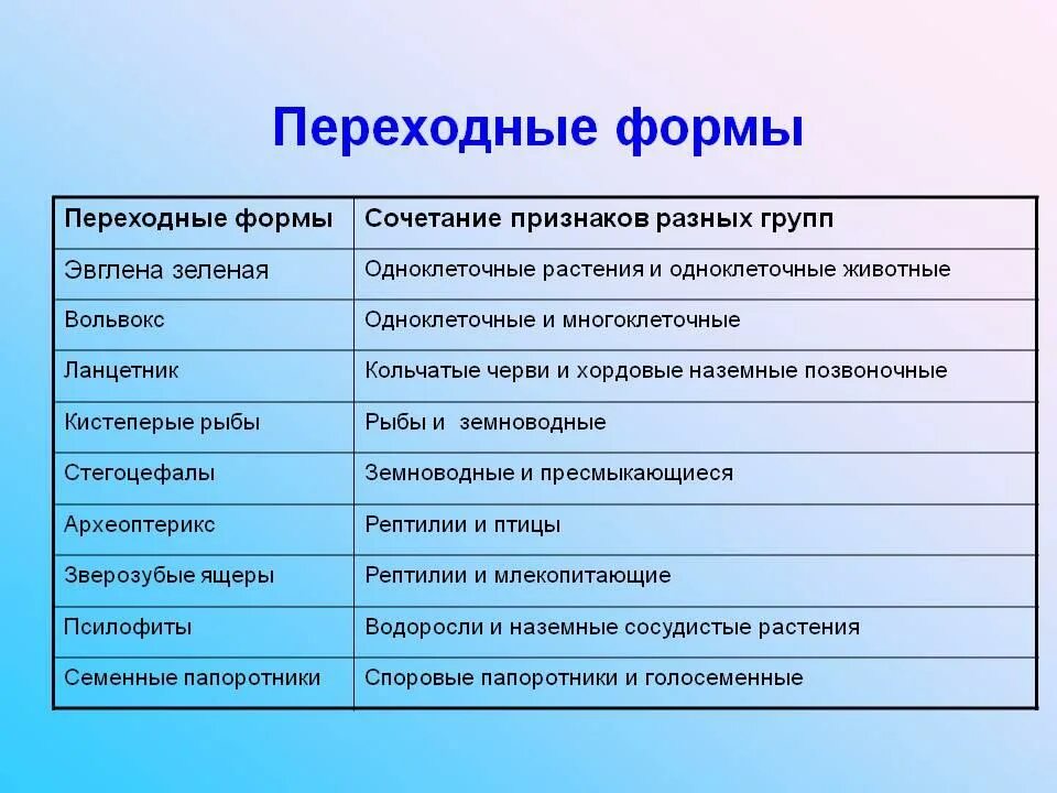 Ископаемые растения примеры. Переходные формы. примеры переходных форм организмов. переходные эволюционные формы. переходные формы растений.