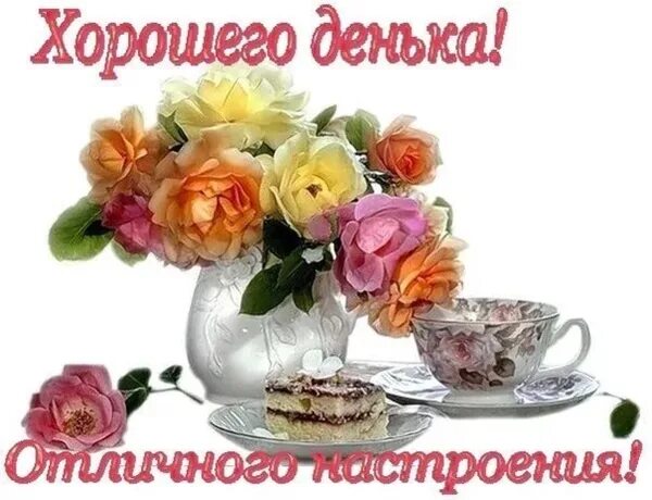 чудесного дня. прекрасного дня с птичками. хорошего дня и отличного настроения. солнечного летнего денечка. отличного денечка и прекрасного настроения.