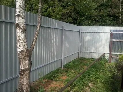 Под забором