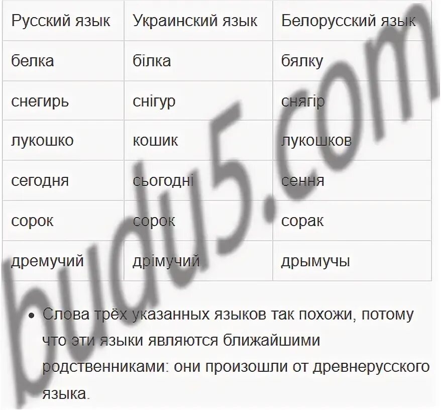 Русский язык 6 класс рыбченкова 538