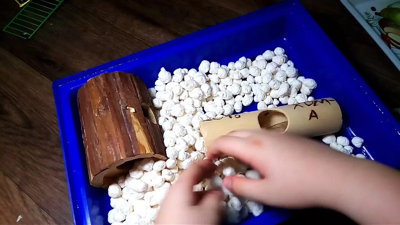Песочная ванна для хомяка джунгарика. Можно хомякам салфетки. Наполнитель для хомяка джунгарика. Сыпать хомяка. Хомяк джунгарский.