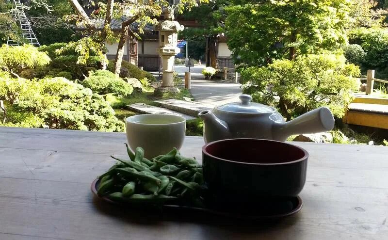Японский чайный сад в Сан-Франциско. Японская чайная церемония чайный сад. Сад чайной церемонии в Японии. Чайная церемония японский сад Мрия. Чайная церемония в японском саду