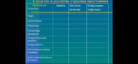 Сходство и различие простейших таблица 7 класс
