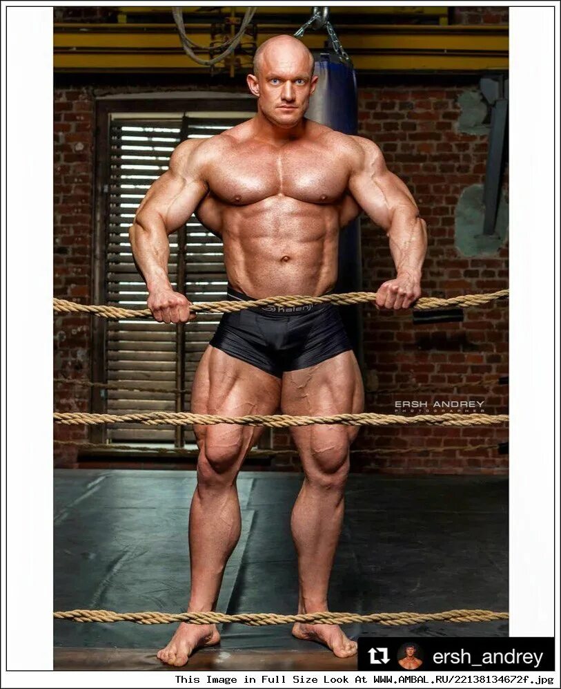Энтони вайлант. Ifbb pro. Живая сталь бодибилдинг. Хади чупан фото олимпии 2023 года. Живая сталь бодибилдинг.