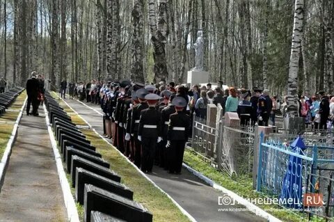 Кинешма сокольники