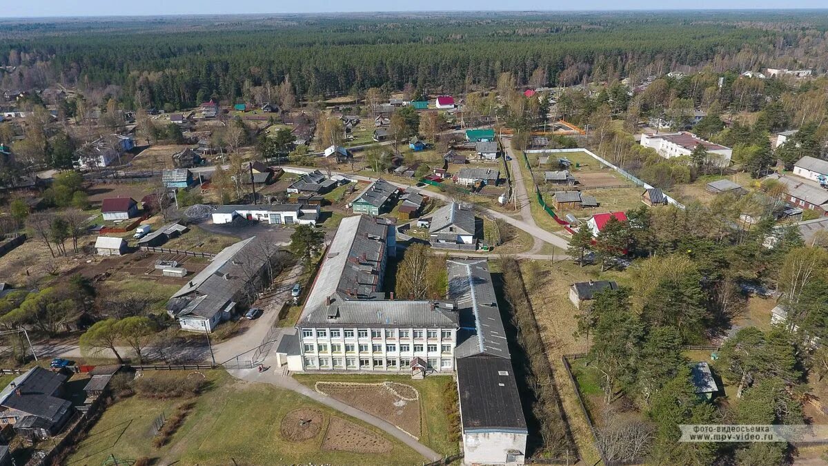 П хвойная новгородская. Песь Хвойнинский район. Поселок Песь Хвойнинского района Новгородской области. Хвойнинский район Новгородская область. Село Песь Новгородской области.