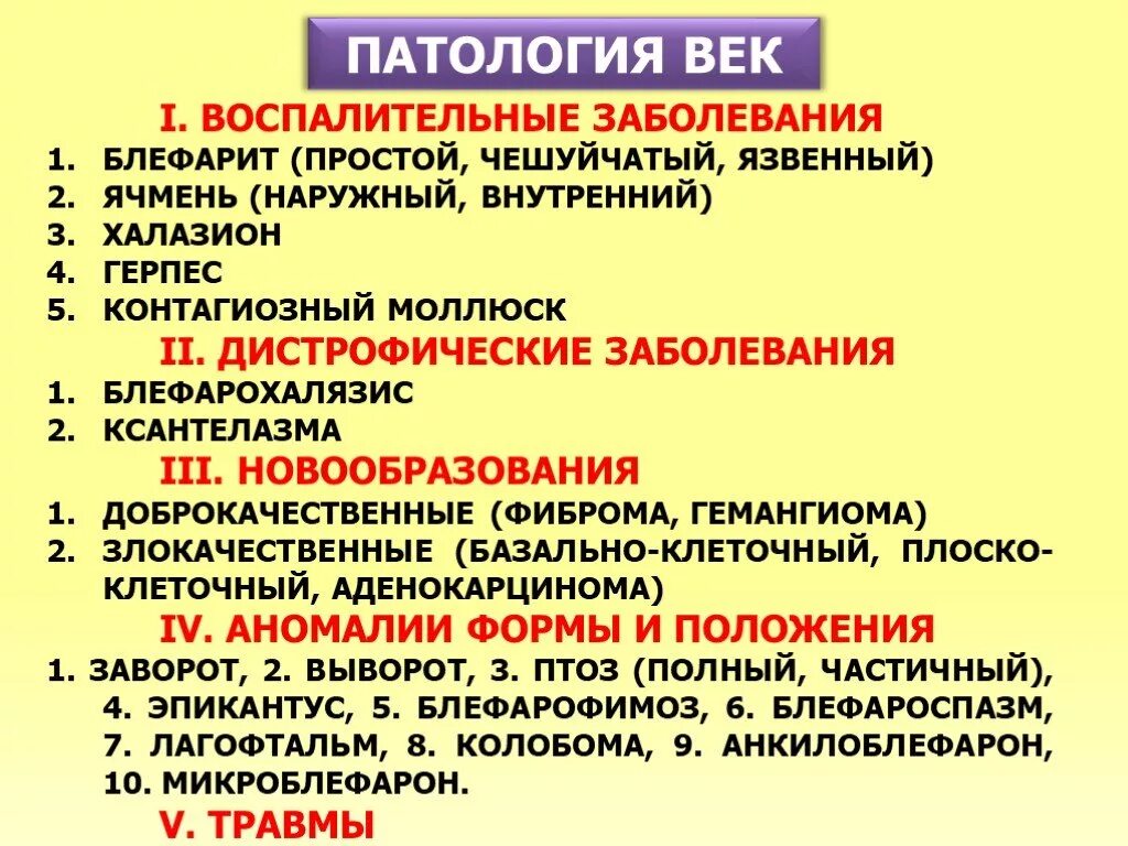 Положение вв