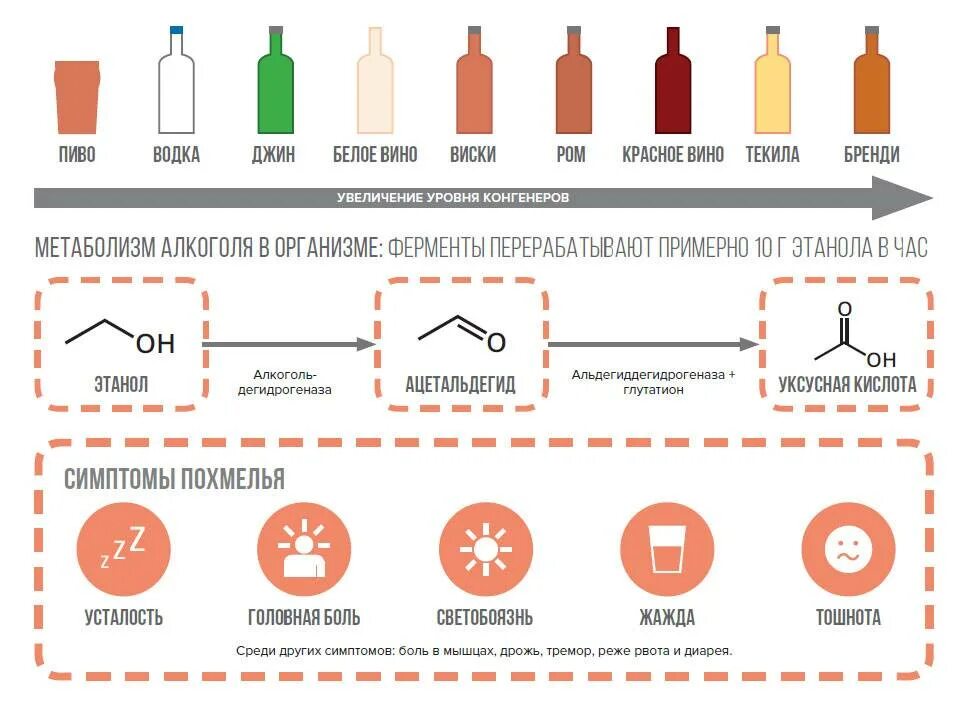 Происходит вин. Таблица распада алкоголя. Таблица алкоголя в крови. Переработка алкоголя в организме. Продукт переработки алкоголя организмом.