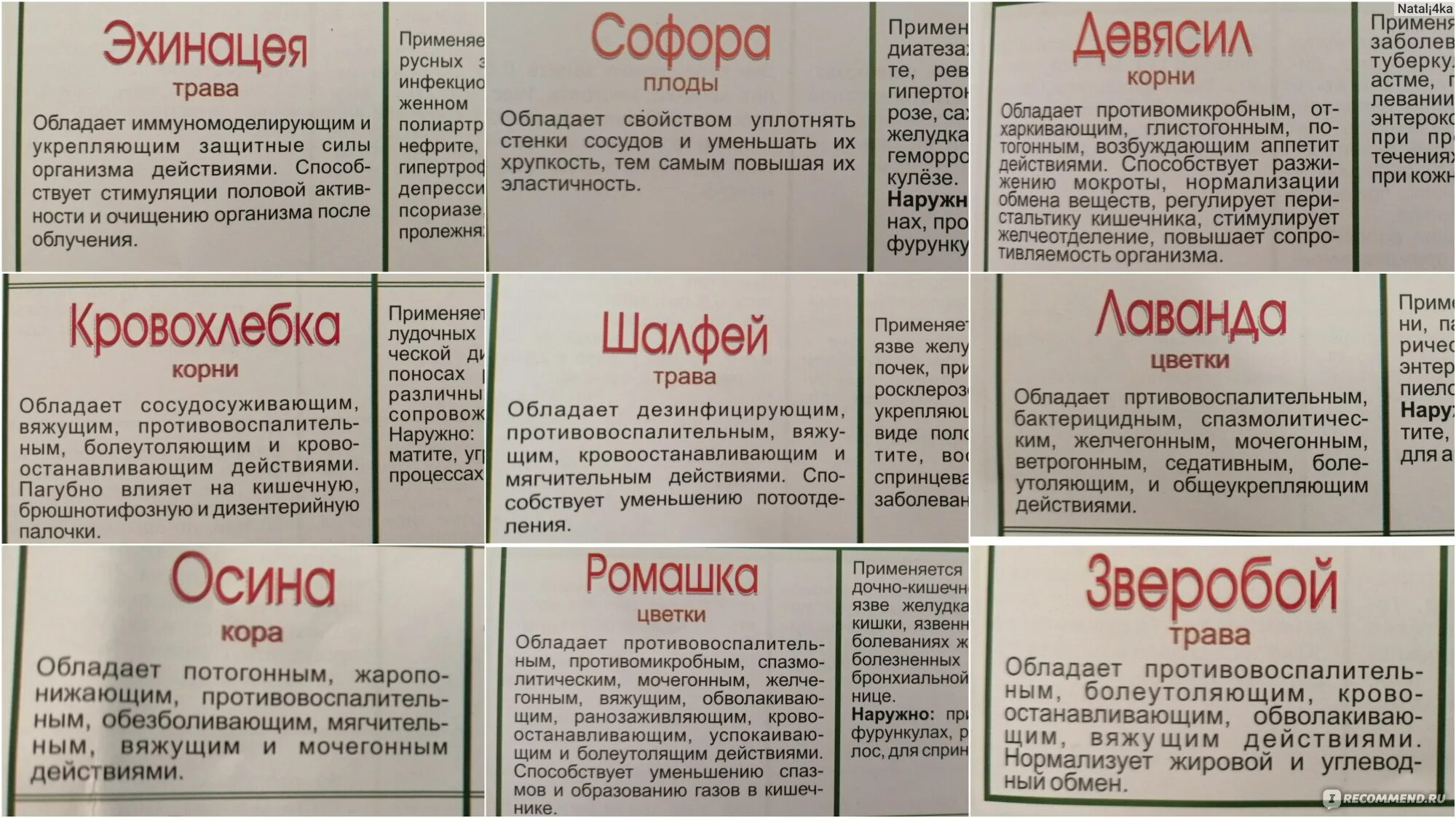 Можно лимон при ангине. Диета при хроническом тонзиллите. Диета при больном горле. Диета при хроническом фарингите. Что нельзя есть и пить при ангине.